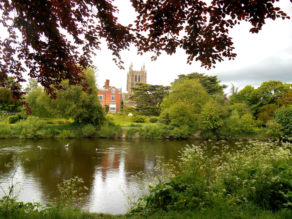 A glimpse of Hereford Cathedral across the river. by snowy