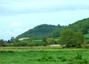 22nd May 2015 - Turn Hill from Aller Moor