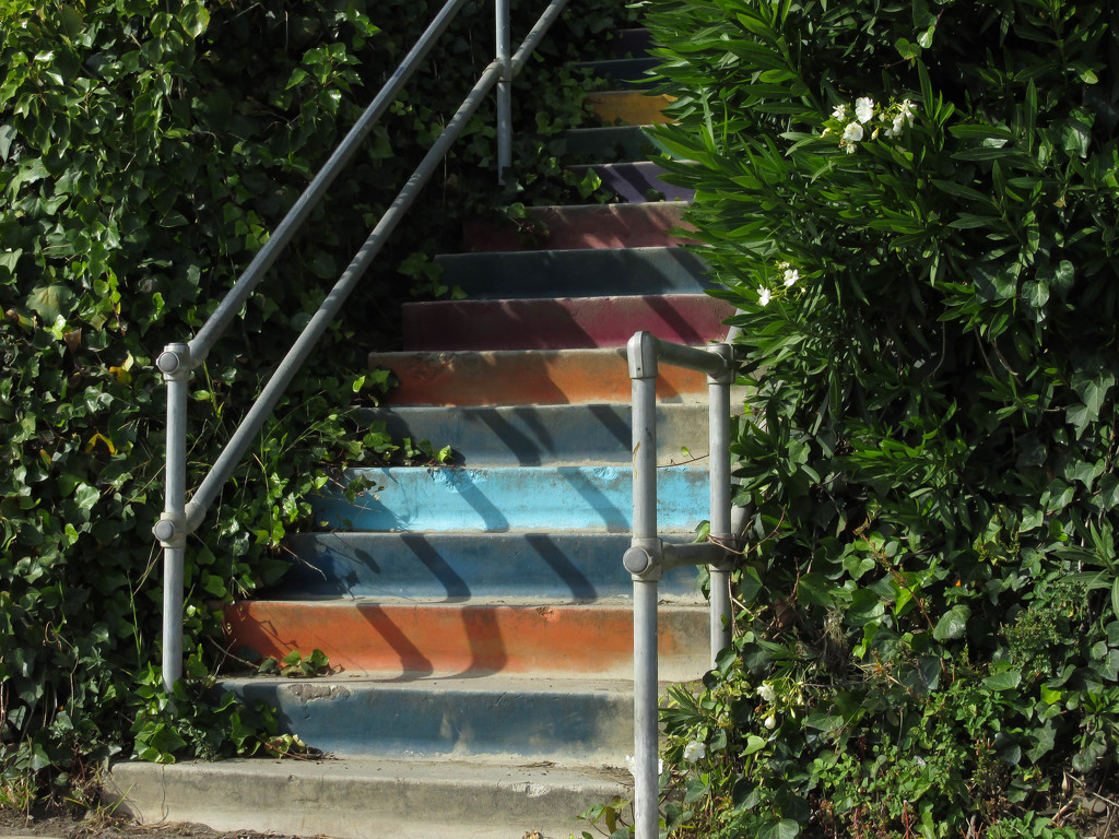 Colorful steps by mittens