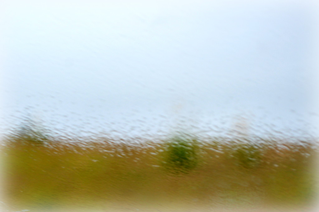 Driving Home in the Rain by nickspicsnz