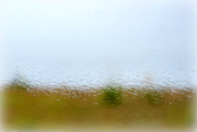 23rd May 2015 - Driving Home in the Rain