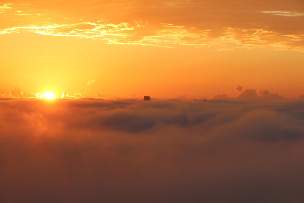 Foggy Sunrise 3 by terryliv