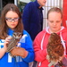 owls in St Austell by jennyjustfeet
