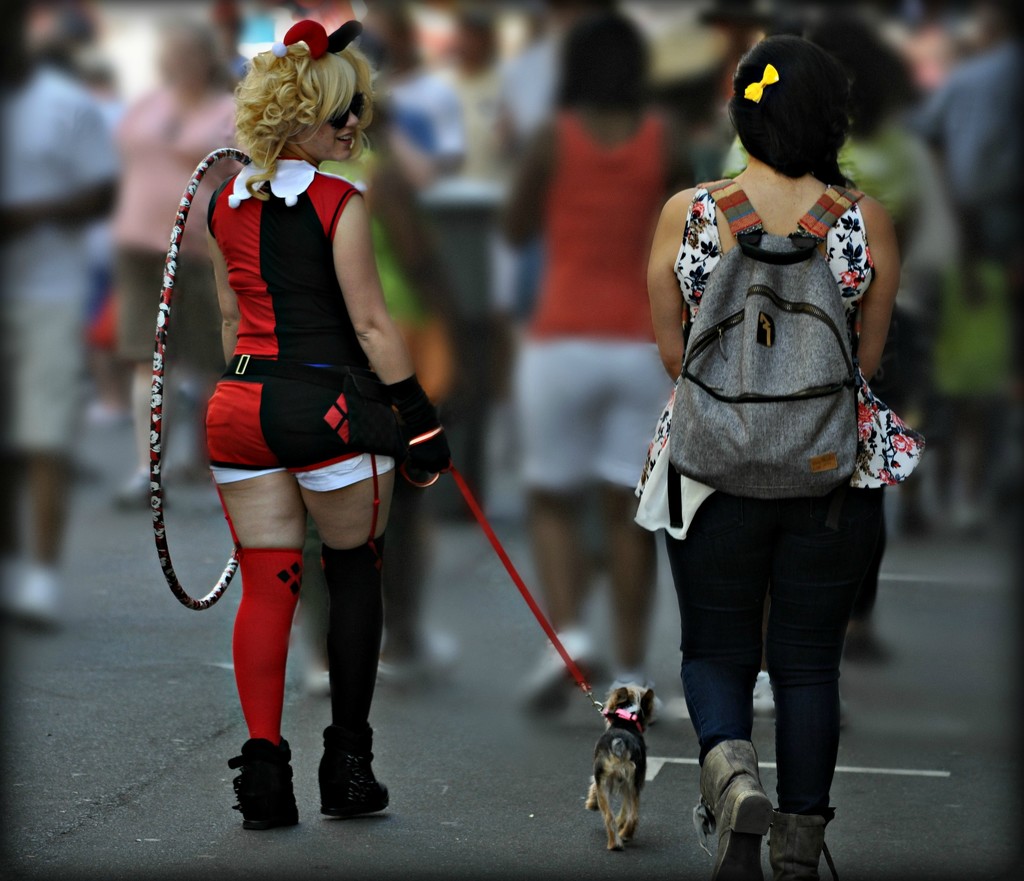 Dog Walker with Hula Hoop by peggysirk