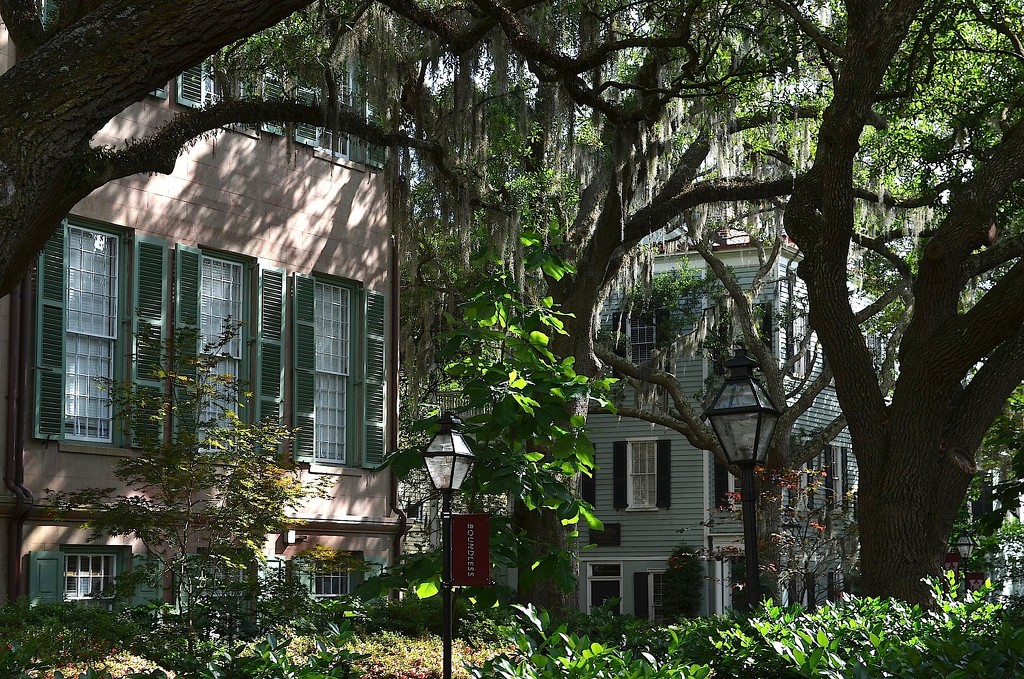 College of Charleston campus, historic district, Charleston, SC by congaree