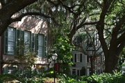 24th May 2015 - College of Charleston campus, historic district, Charleston, SC