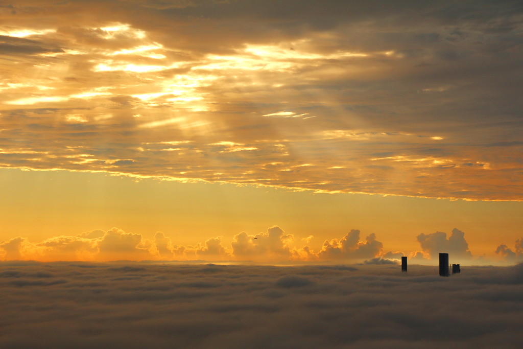 A Foggy Sunrise 4 by terryliv