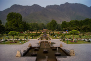 24th May 2015 - mughal gardens -1