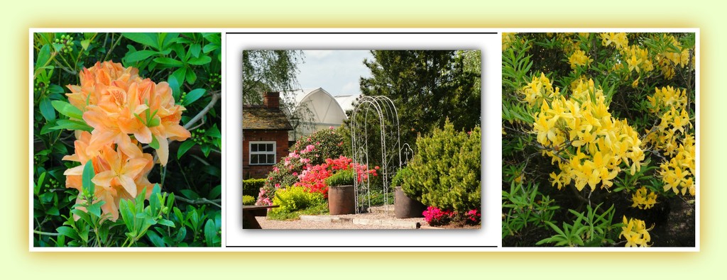 Bridgmere Gardens in May  by beryl