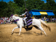 24th May 2015 - Jousting