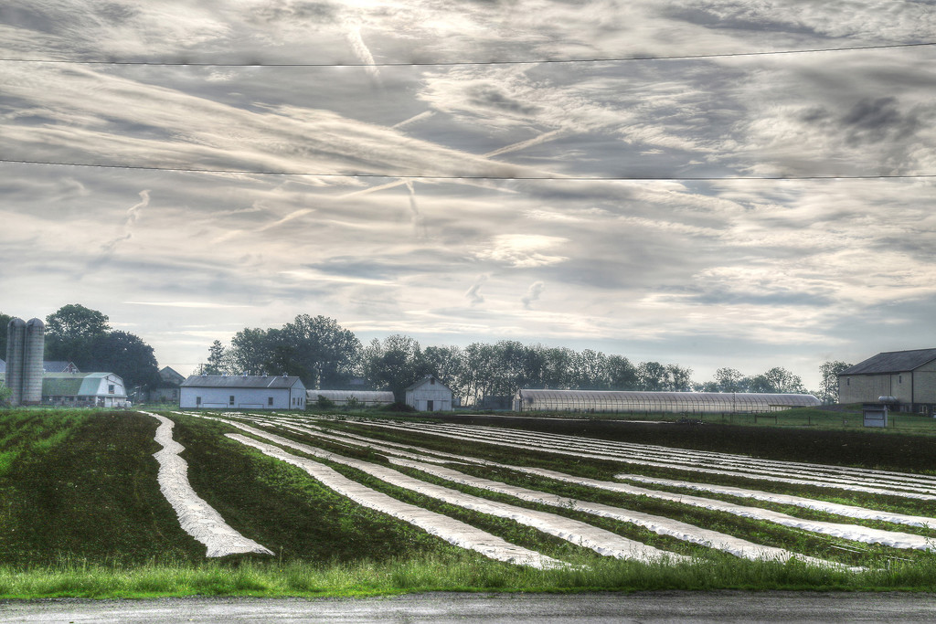 Lancaster Farmlands by pdulis