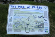25th May 2015 - Pool Of Virkie
