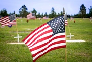25th May 2015 - Memorial Day Flags