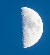 23rd May 2015 - 23rd May 2015 - Blue Moon