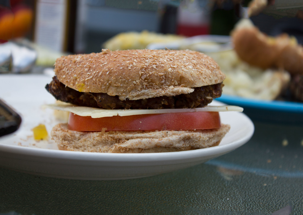 Hamburger at the cookout by randystreat