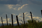 25th May 2015 - Fenceline and Cloudscape