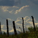 Fenceline and Cloudscape by kareenking