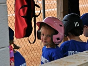 12th May 2015 - Little Slugger in the Dugout