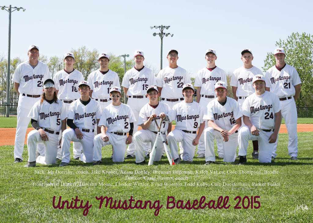 Unity baseball by svestdonley