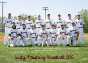 27th Apr 2015 - Unity baseball