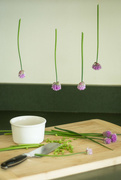 26th May 2015 - chives in suspension