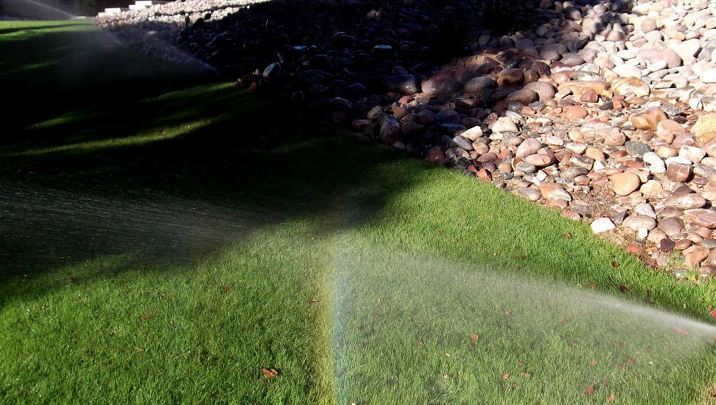Green Grass, the Sprinklers, and a Rainbow by kerristephens