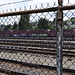 Train And Fence  by stephomy