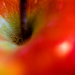 Apple by tosee