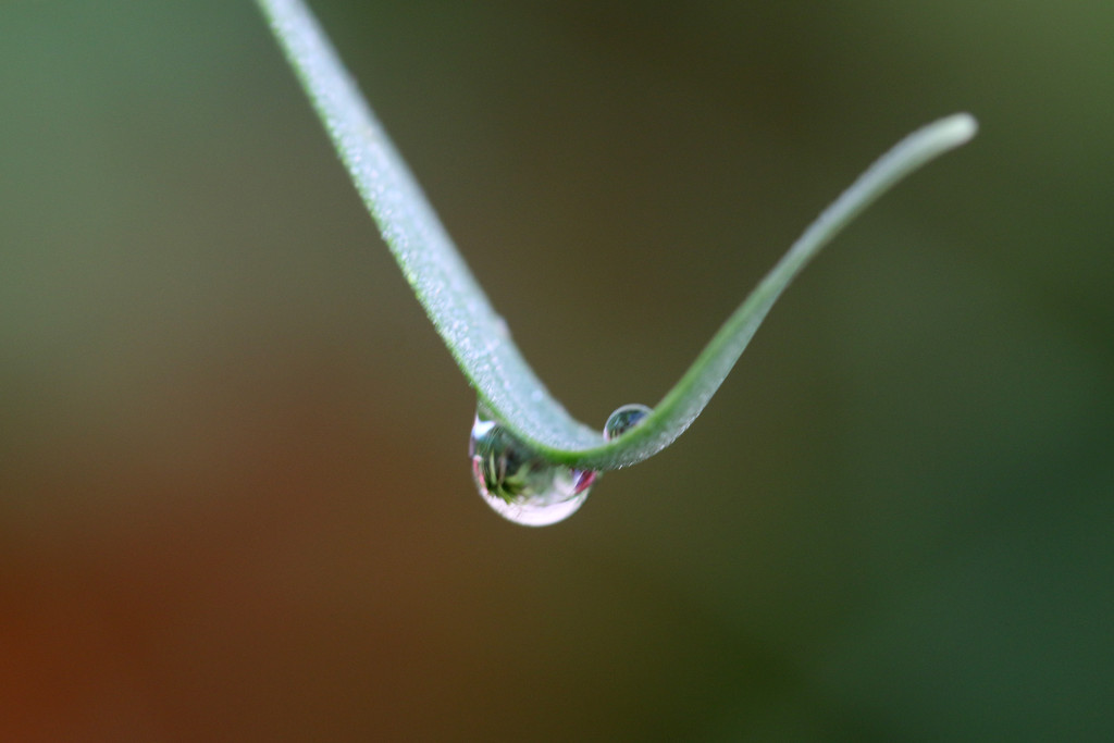 droplets by ingrid01