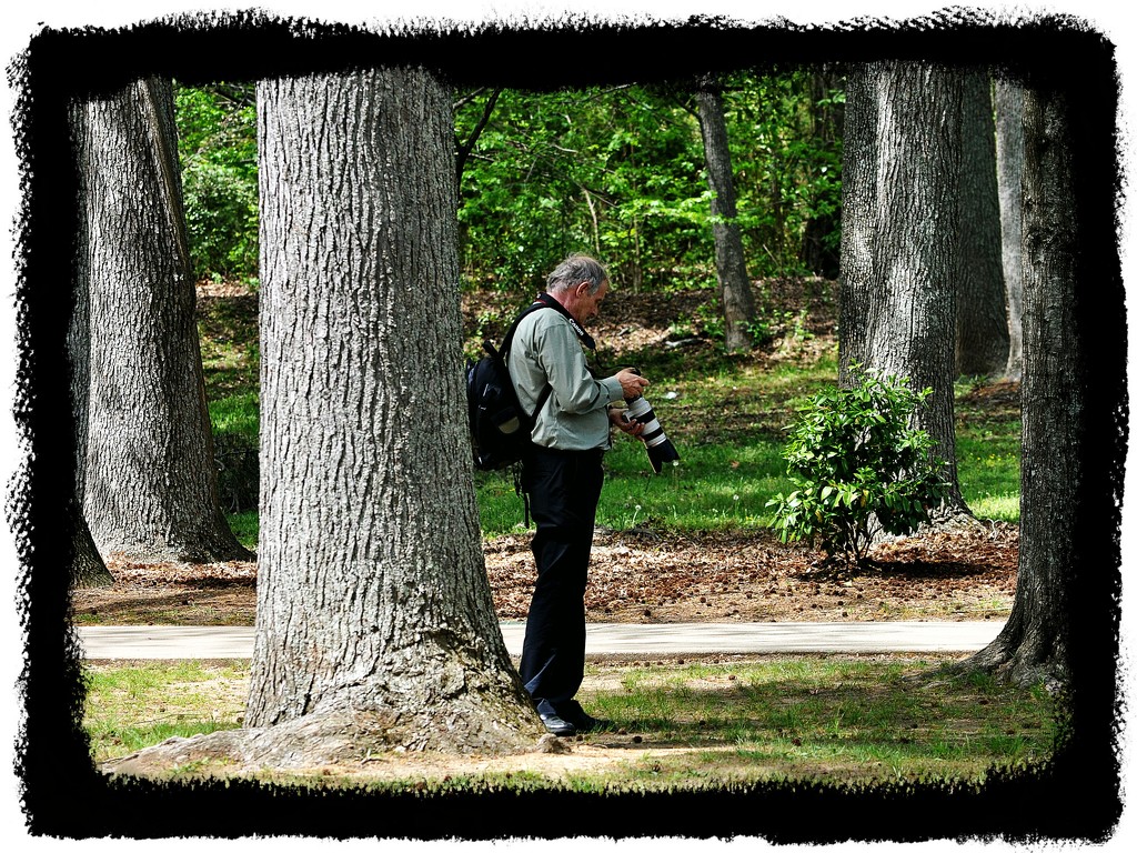 Photographer in the Park by peggysirk