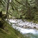 Washington Rain Forest by jetr