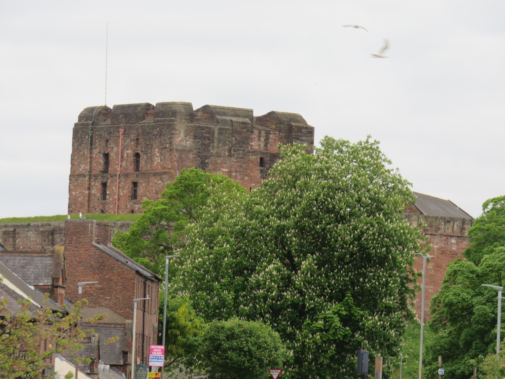 Carlisle Castle by countrylassie