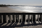 28th May 2015 - Sun, sea, sand, shells & shadow....