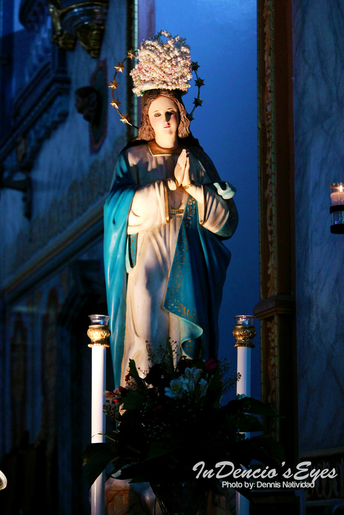 Flores de Maria - La Immaculada Concepcion by iamdencio