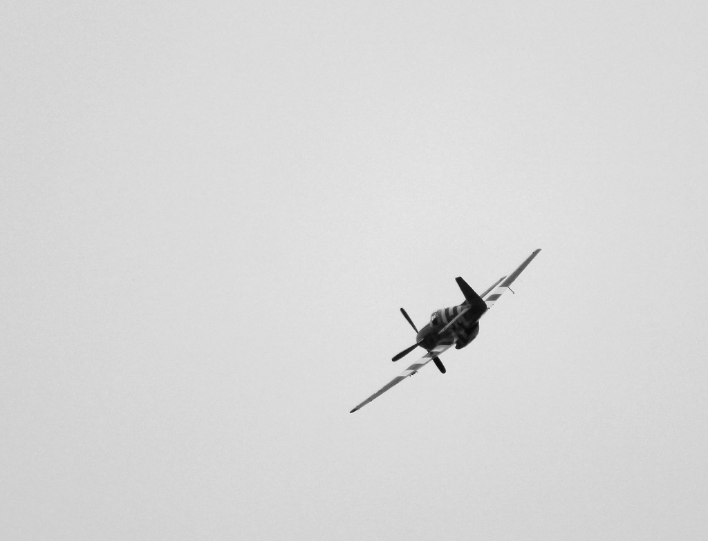 P51 Mustang by nanderson