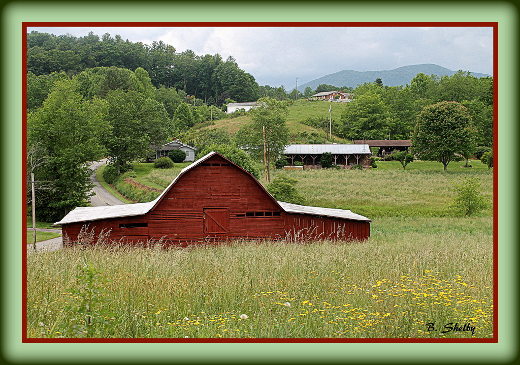 Red Barn and Yellow flowers by vernabeth