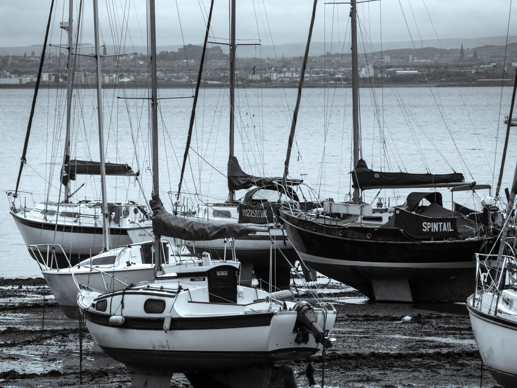 Grey harbour morning by frequentframes
