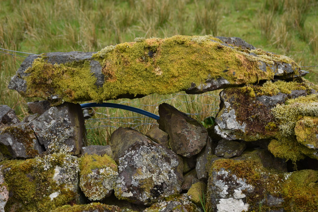 dry stone wall by christophercox
