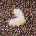 Heart in Beans by salza