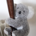 Koala by oldjosh