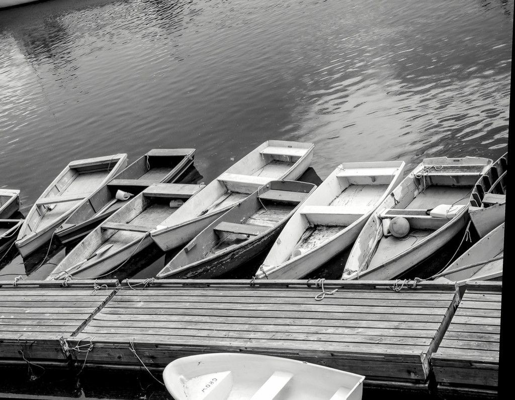 Boats in waiting. by joansmor