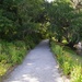 The path along the Ashley River at Magnolia Gardens, Charleston, SC by congaree