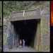 Karangahake Tunnel Collage... by julzmaioro