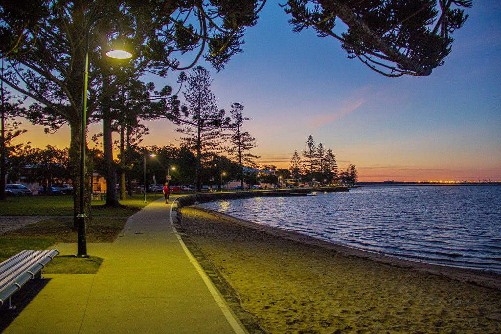 Evening stroll by corymbia