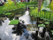 20th May 2015 - Pond at chelsea flower show
