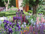 22nd May 2015 - Chelsea flower show 