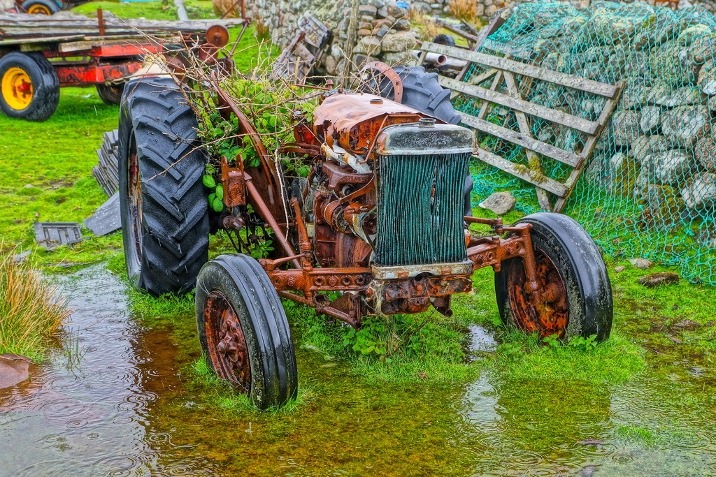 OLD TRACTOR by markp