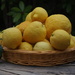 Last of the lemons by laroque