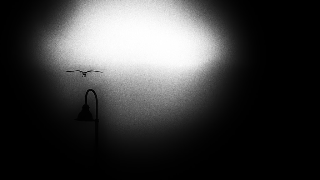 lamp noir by northy