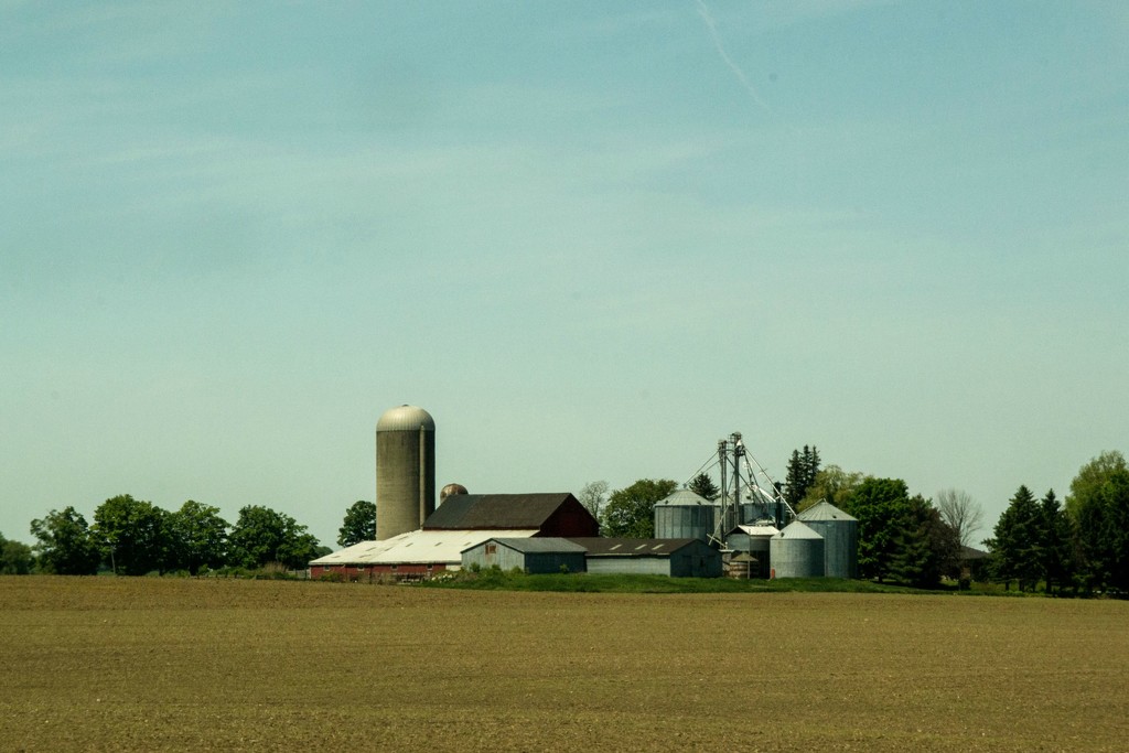ontario farm scenery - a drive-by shooting by summerfield by summerfield